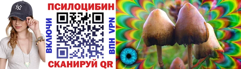 Галлюциногенные грибы GOLDEN TEACHER  Реутов 